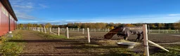  stallplats finnes: 🌟 Nybackgård har lediga platser 🌟 - Annons 6