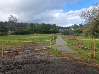 stallplats Stallplats i Karlshamn - Annons 2