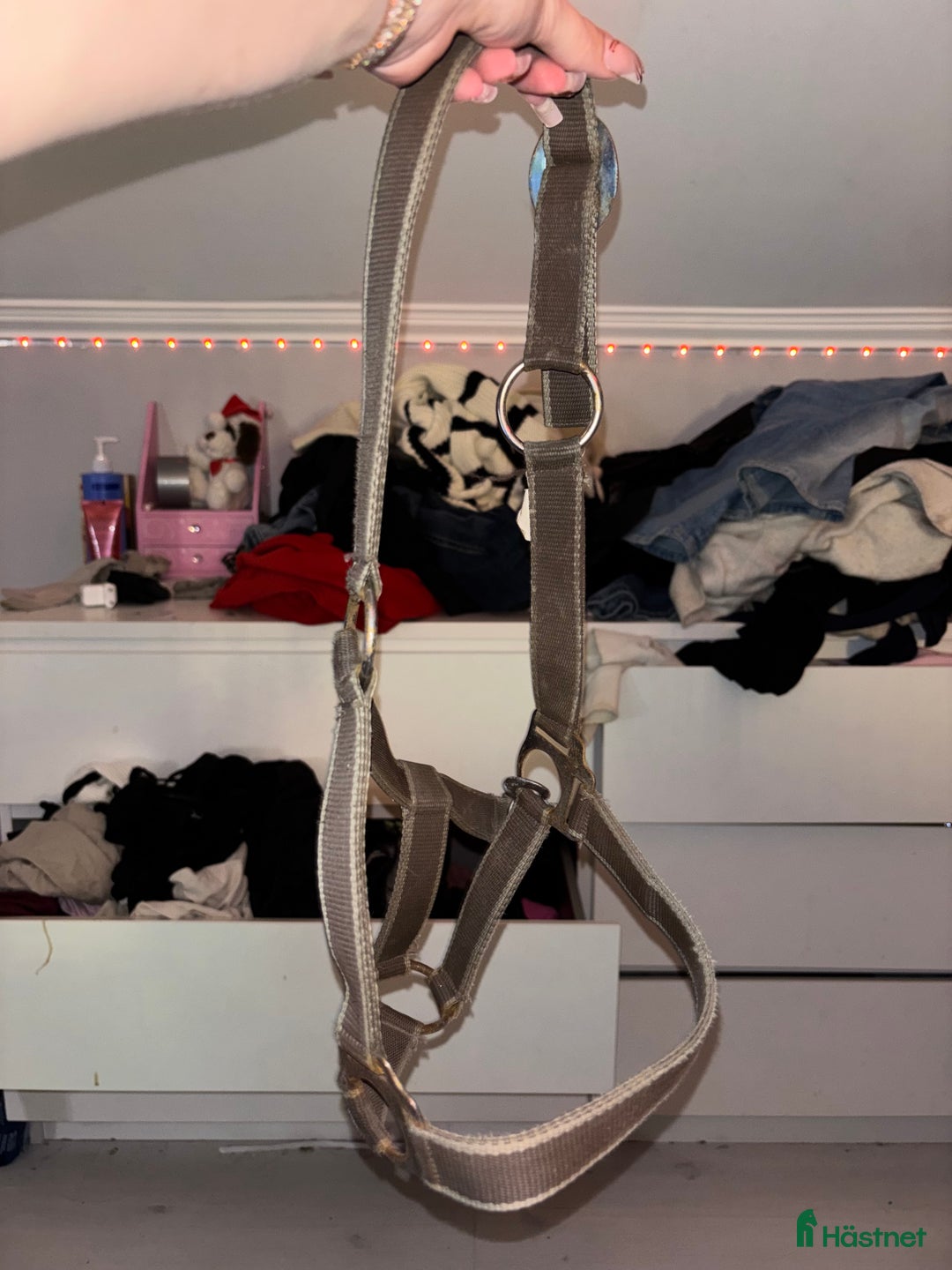 Övrig Hästutrustning hästutrustning till salu: Grimma i Fristad - Annons 2