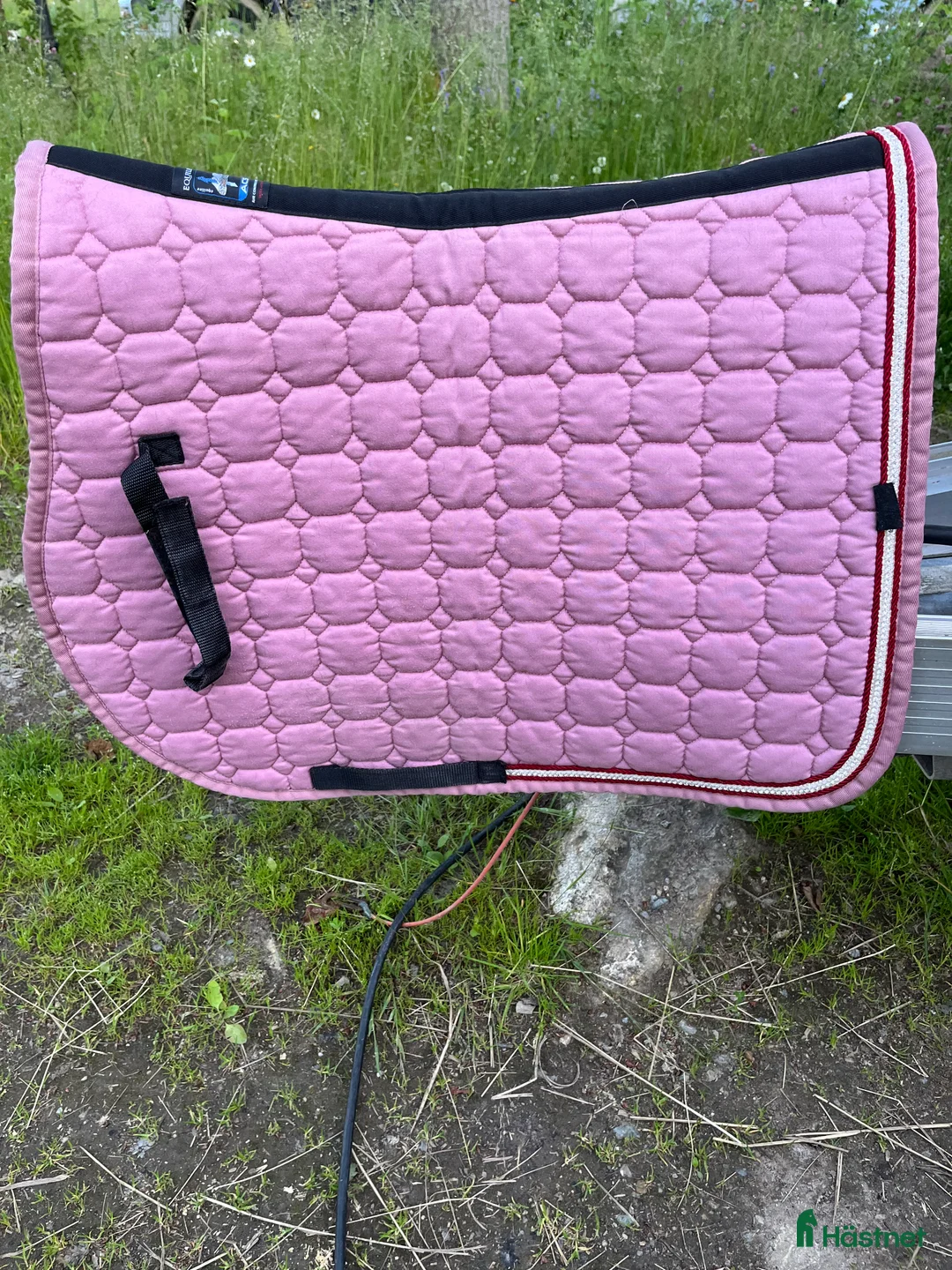 Schabrak & Vojlockar hästutrustning till salu: Equiline - Annons 1