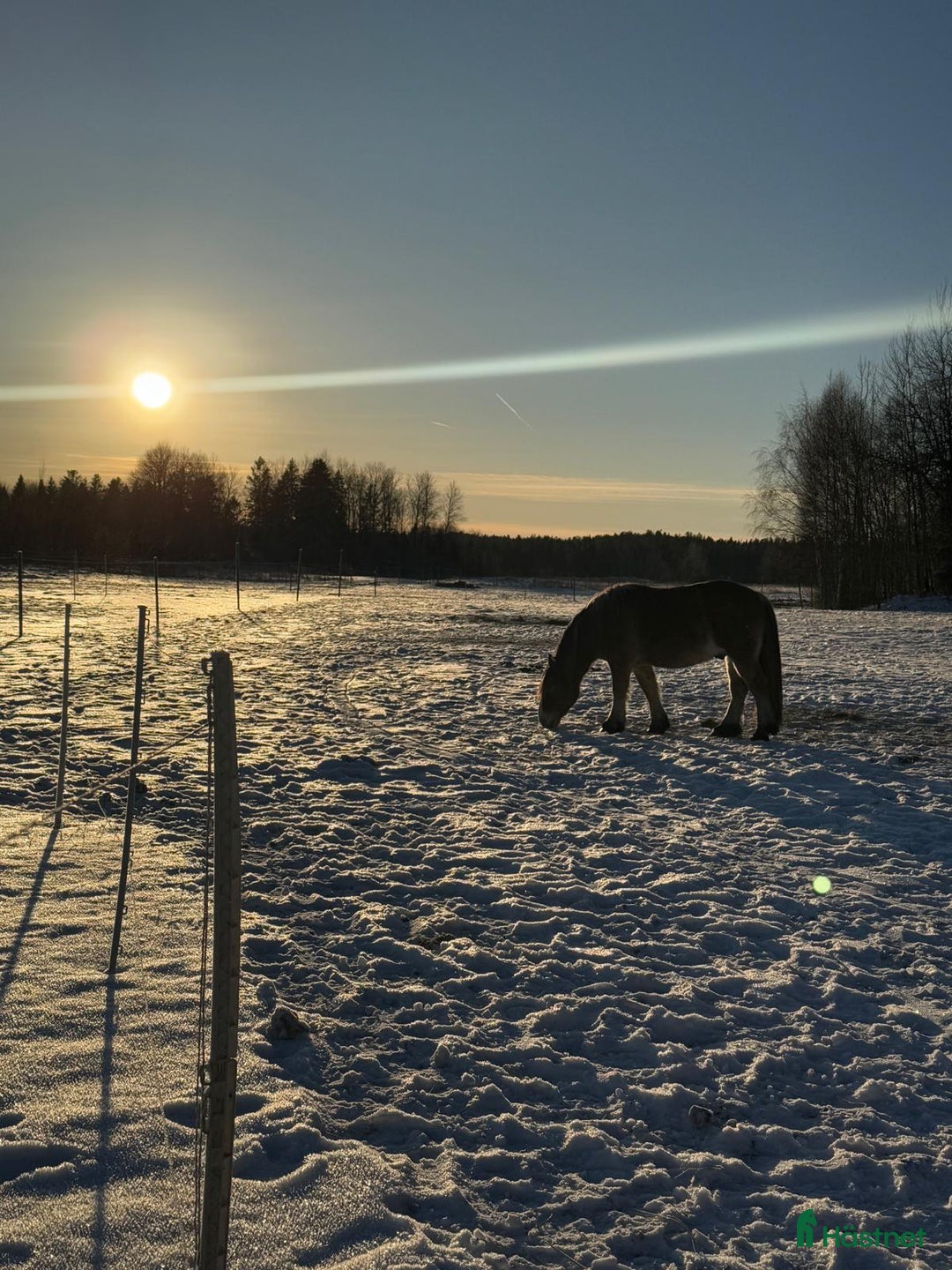  stallplats finnes: Lösdrift Grödinge i Grödinge - Annons 3