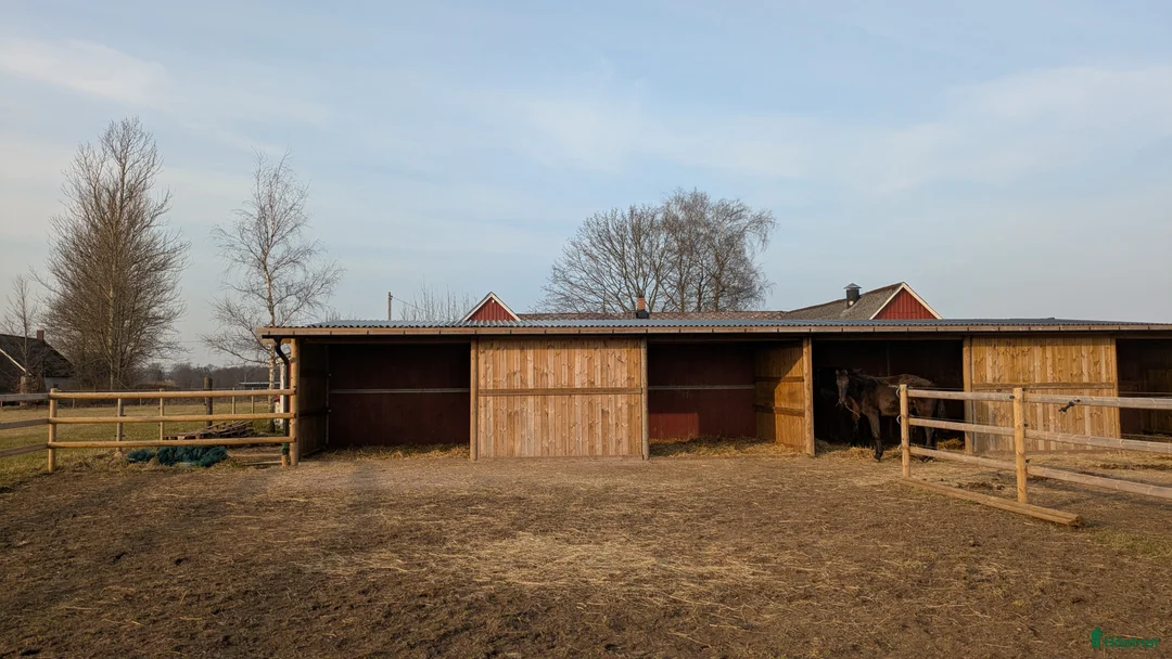  stallplats finnes: 1 ledig plats på underbar lösdrift  i Hörby - Annons 20