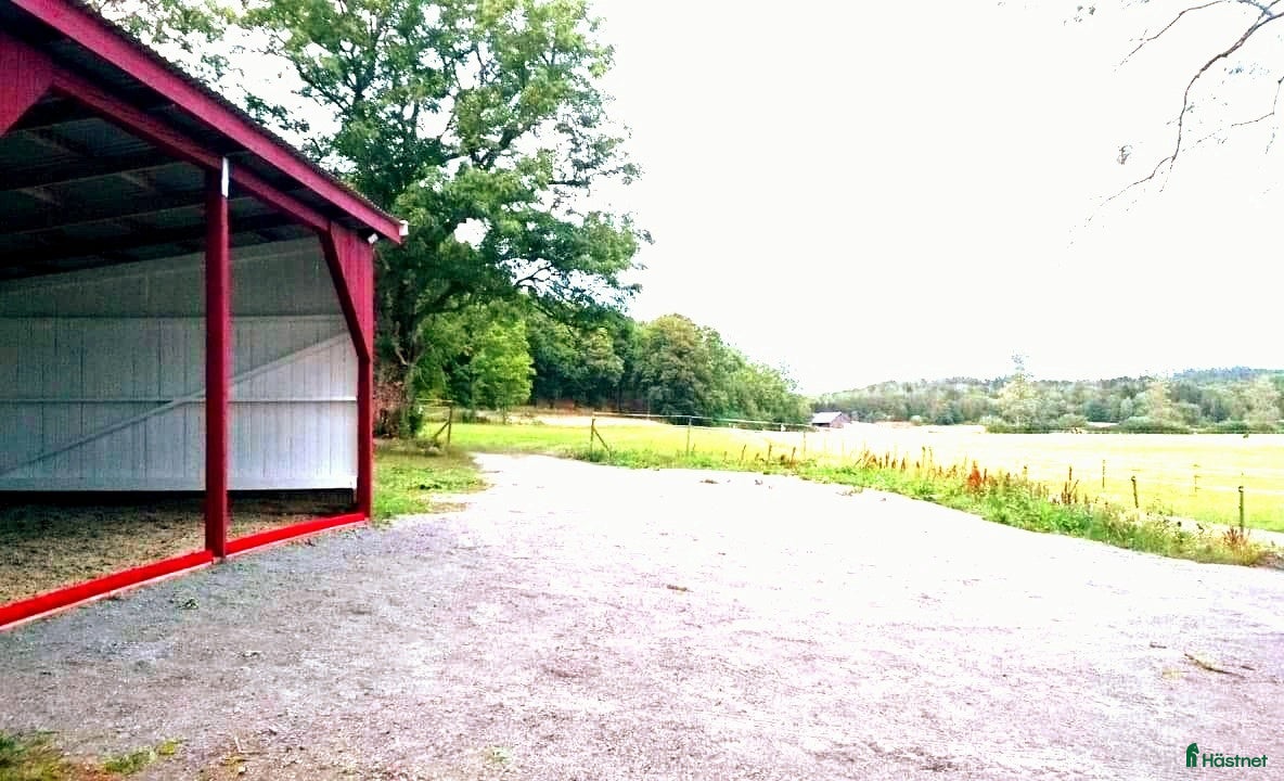  stallplats Plats på lösdrift finns i Kungsbacka - Annons 4