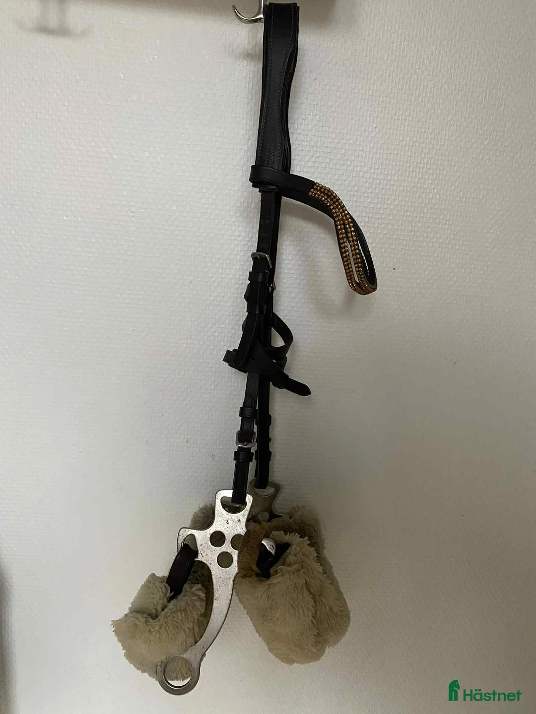 Övrig Hästutrustning hästutrustning till salu: Massa utrustning! i Lund - Annons 17