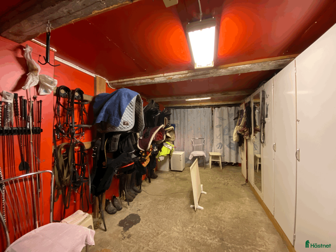  stallplats finnes: Boxplatser på Iselsta/Grödinge i Grödinge - Annons 10