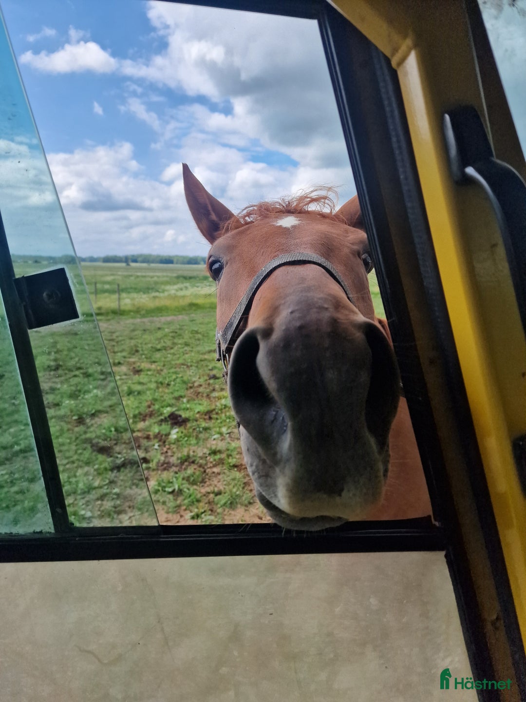  stallplats finnes: Lösdriftsplater finns att tillgå  i Ransta - Annons 6
