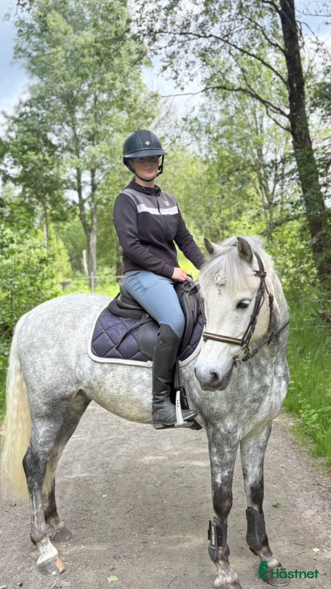  hästar Världens bästa Milo - Annons 1