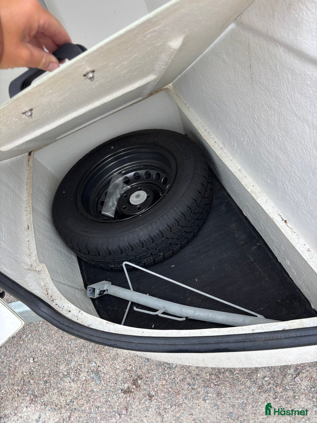 Hästtransporter  fordon & transport till salu: Mustang Elit-2019 hästtransport  i Västerås - Annons 12