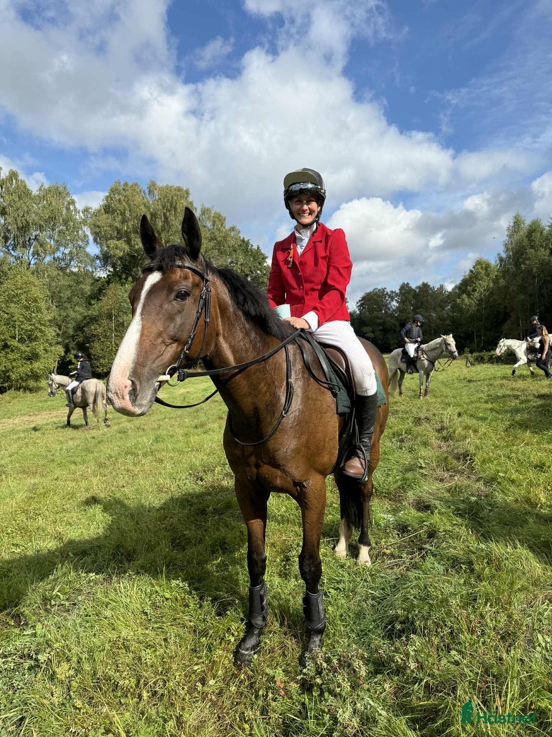 Allround hästar till salu: Glad kille med energi  i Kungälv - Annons 1