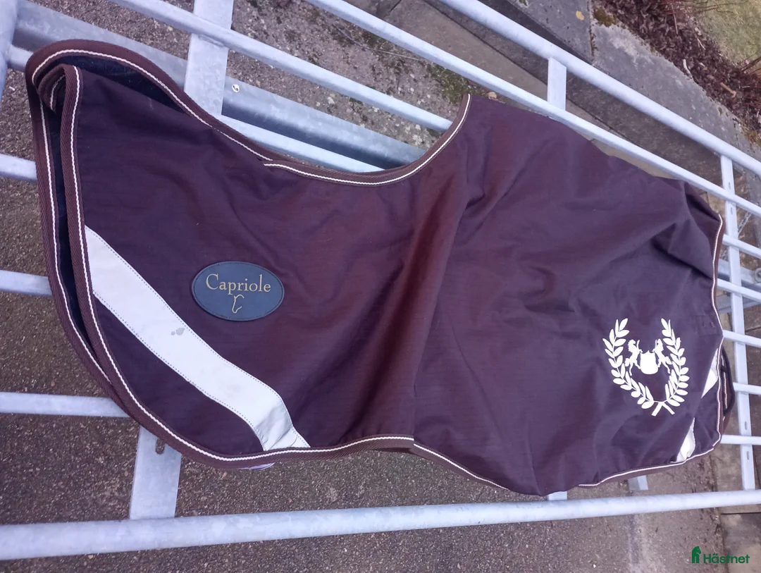 Täcken hästutrustning till salu: Skrittäcke  - Annons 1