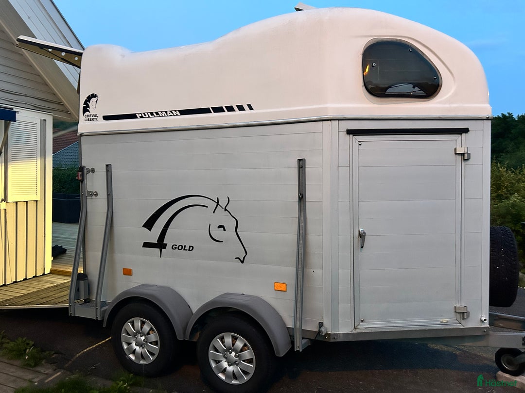 Hästtransporter  fordon & transport till salu: Superfin i aluminium och glasfiber - 1490/640 i Mölndal - Bild 6