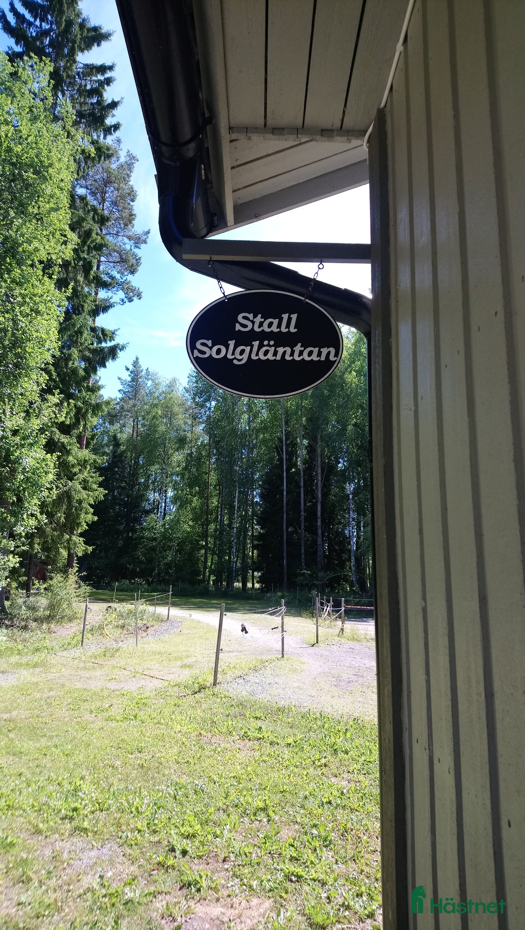 Island hästar sökes: Söker en riktig klippa  i Rimbo - Annons 2