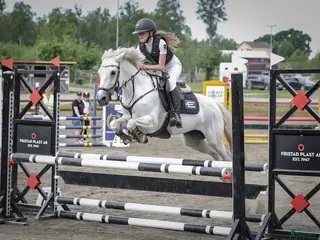 hästar 💗 Moyvilla Lady - Bildbar kvalitetsponny - Annons 6