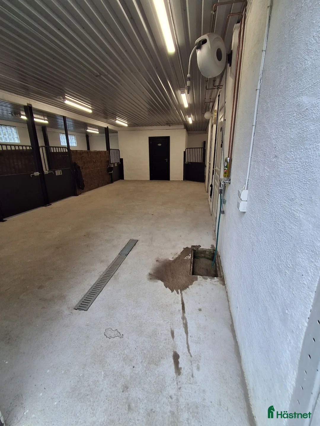  stallplats finnes: Stallplats i litet stall - Annons 2