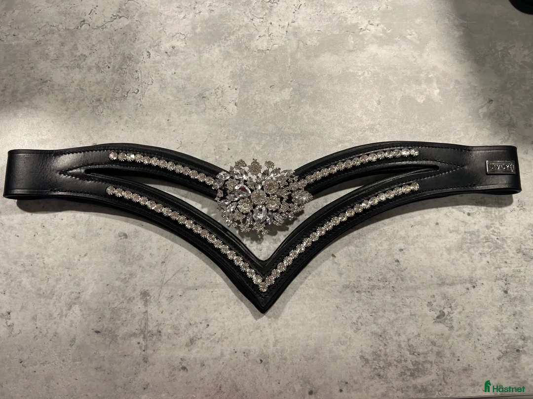 Träns hästutrustning till salu: Divoyh pannband modell Tryde silver i Falun - Annons 2