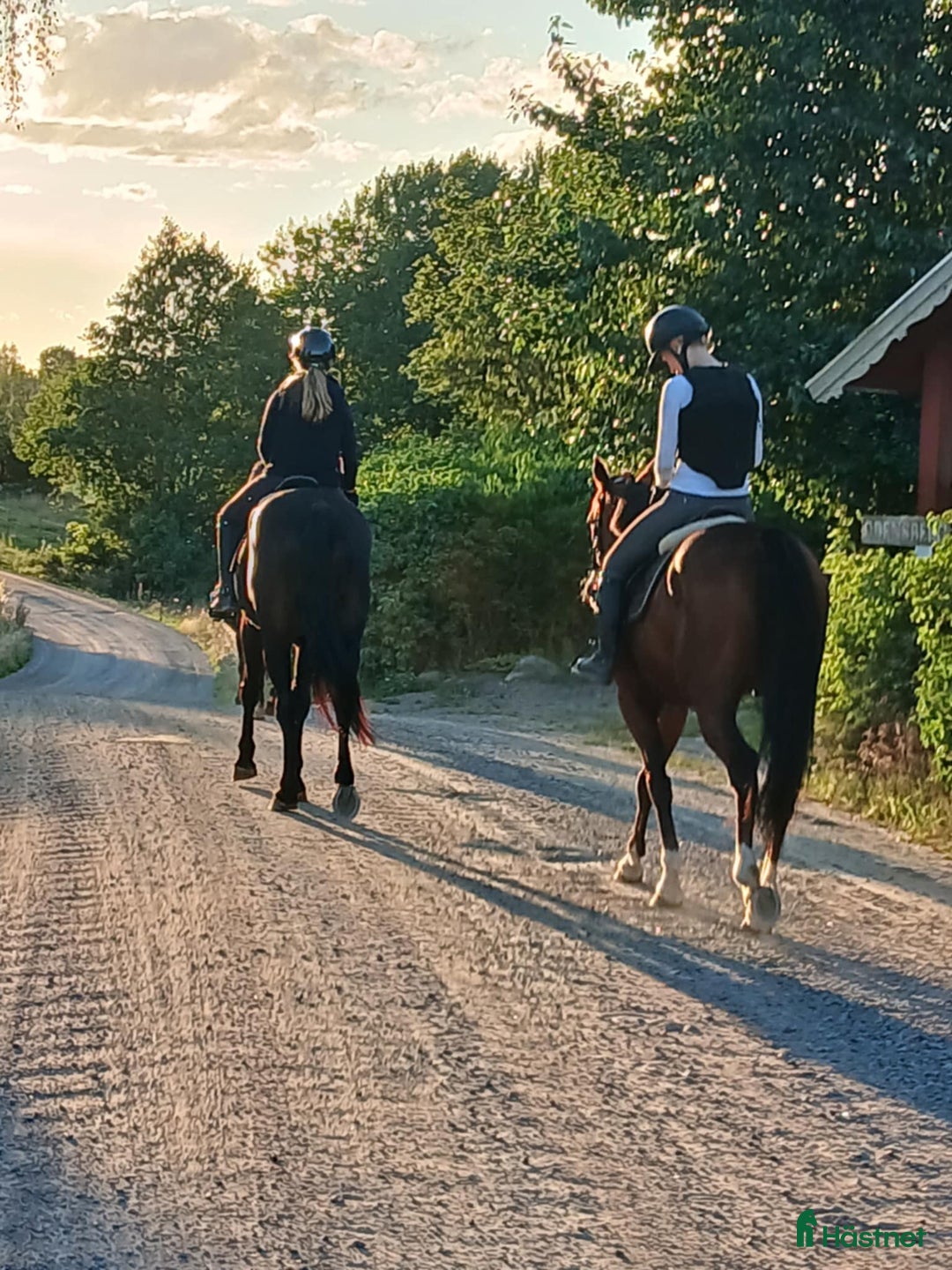  stallplats finnes: Fullskötsel nära Buss i Vallentuna - Annons 5