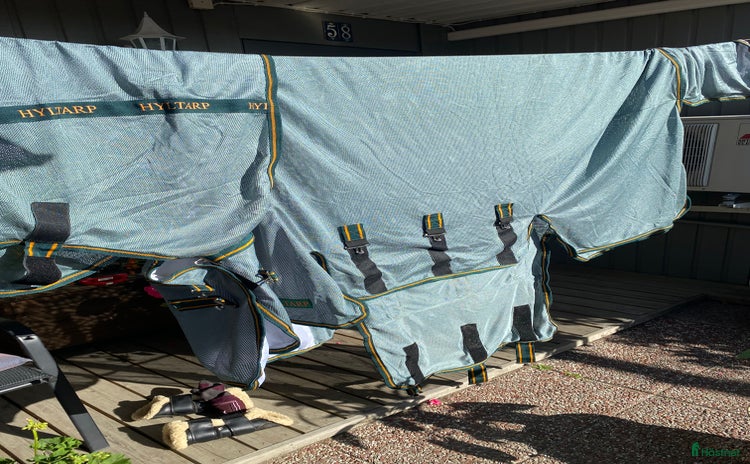 Täcken hästutrustning till salu i Tyresö - Annons 6