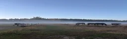  stallplats finnes: Lediga stallplatser Säby Gård  - Annons 5