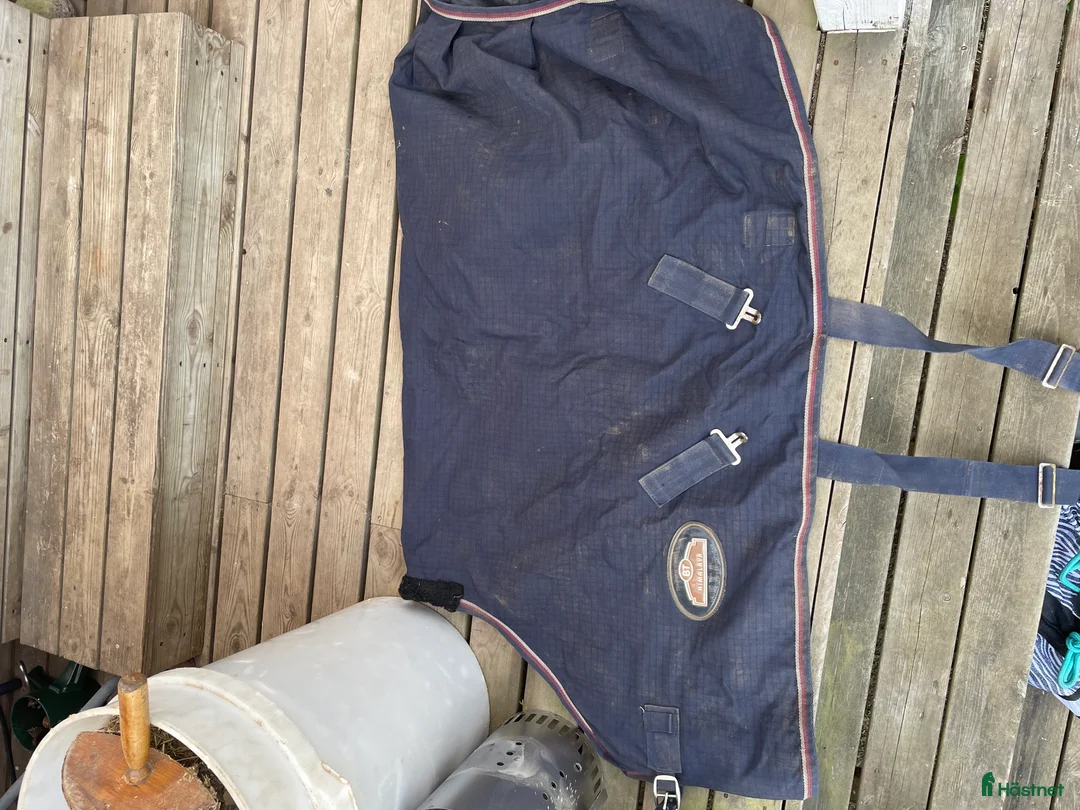 Övrig Hästutrustning hästutrustning till salu: Häst utrustning  i Bredaryd - Annons 7