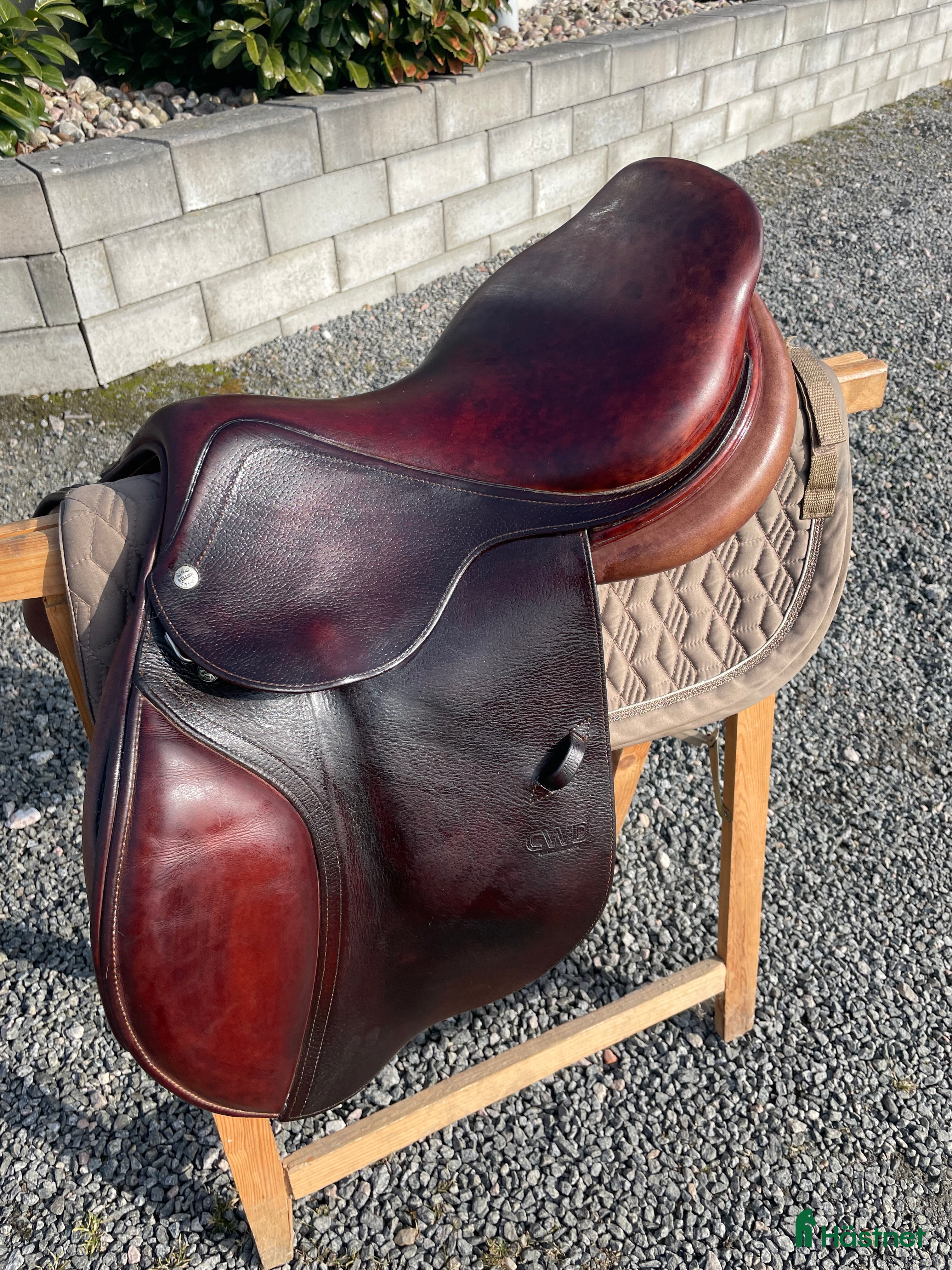 Sadlar hästutrustning CWD Hoppsadel - Annons 1