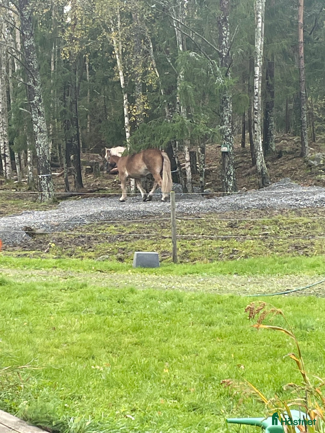  stallplats finnes: Boxplats finns utanför Mariefred  i Mariefred - Annons 3