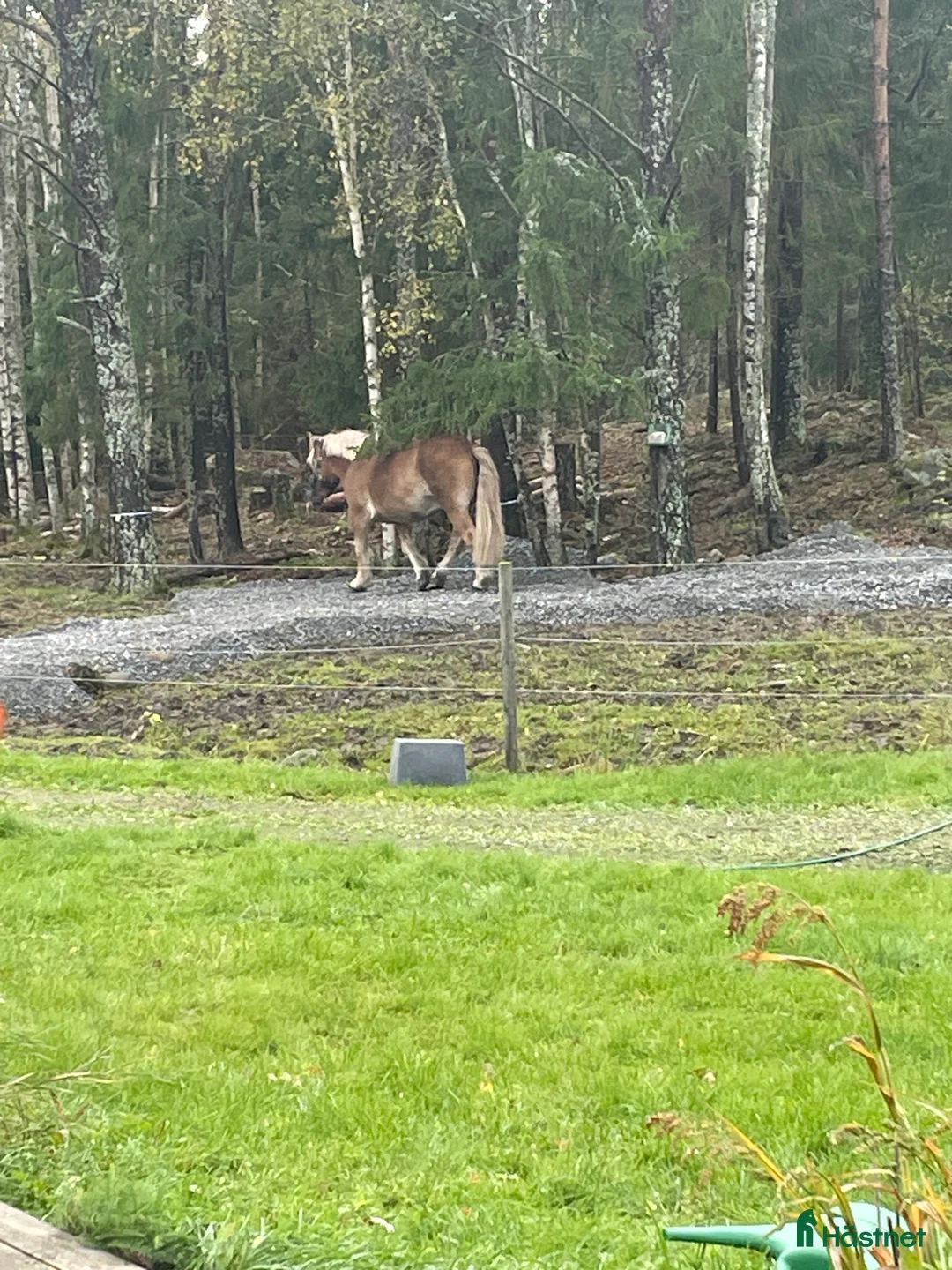  stallplats finnes: Boxplats finns utanför Mariefred  - Annons 3