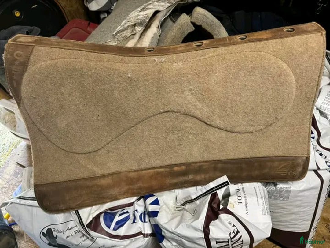 Schabrak & Vojlockar hästutrustning till salu: CSI SADDLE PAD i Köpenhamn - Annons 2