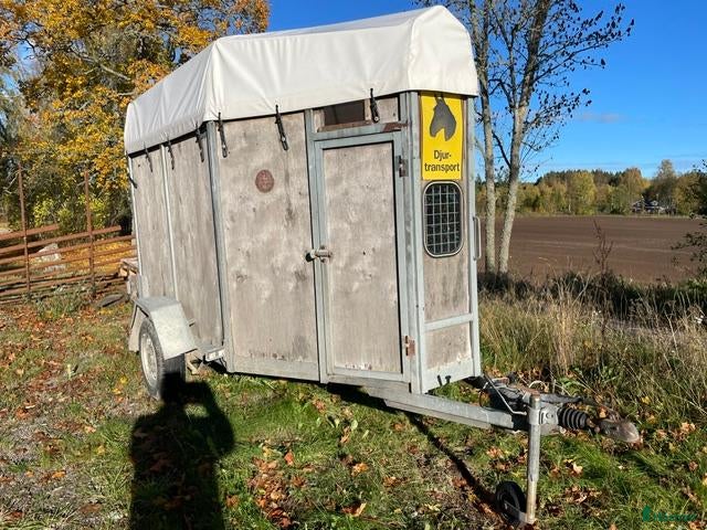 Hästtransporter  fordon & transport till salu: Äldre hästsläp säljes billigt - Annons 3