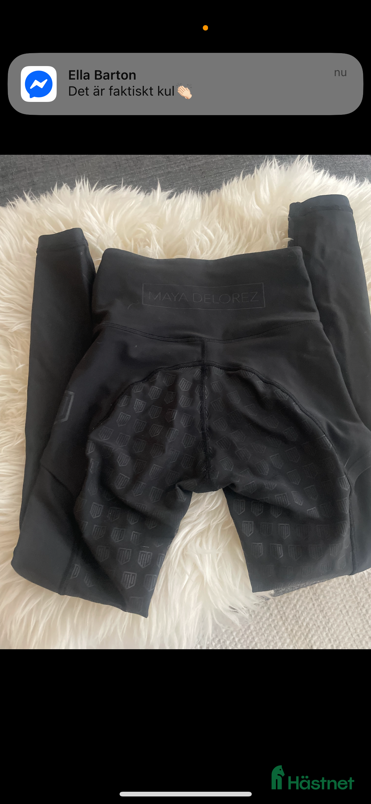 Ridbyxor ryttarutrustning till salu: Maya Dolorez XXS i Örebro - Annons 17