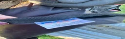 Täcken hästutrustning till salu: 3 stycken stalltäcken Premier equine  - Annons 2