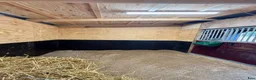  stallplats finnes: Stallplats Boxplats uthyres - Annons 6