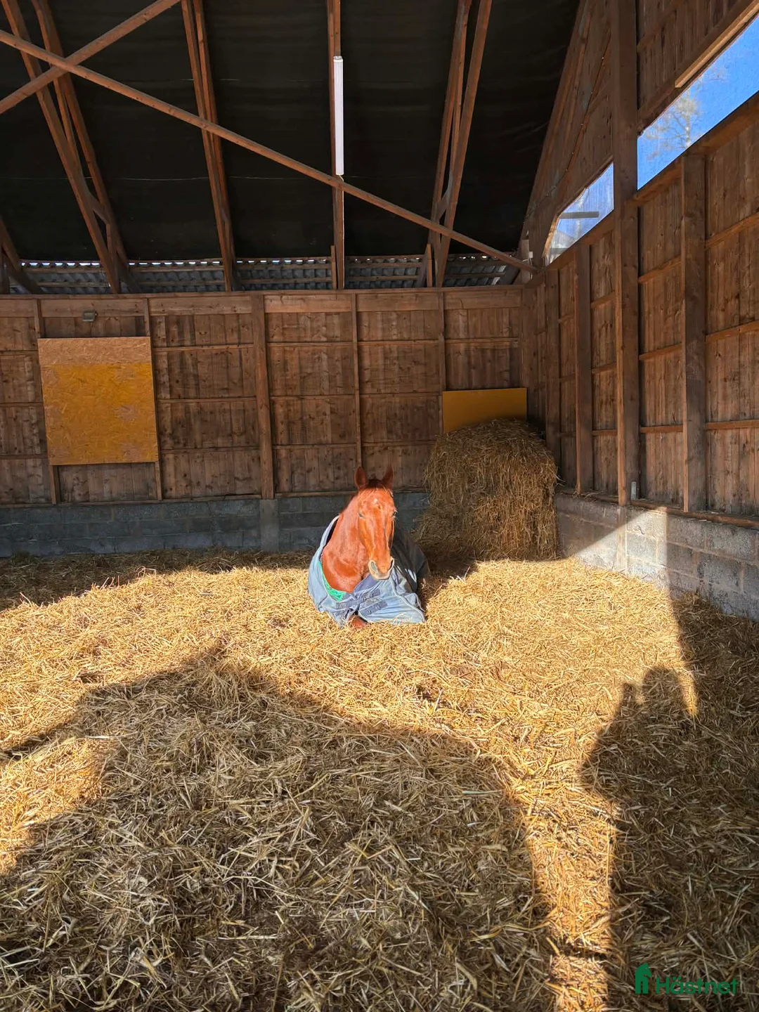  stallplats finnes: Lösdrift nära Södertälje  i Järna - Annons 22