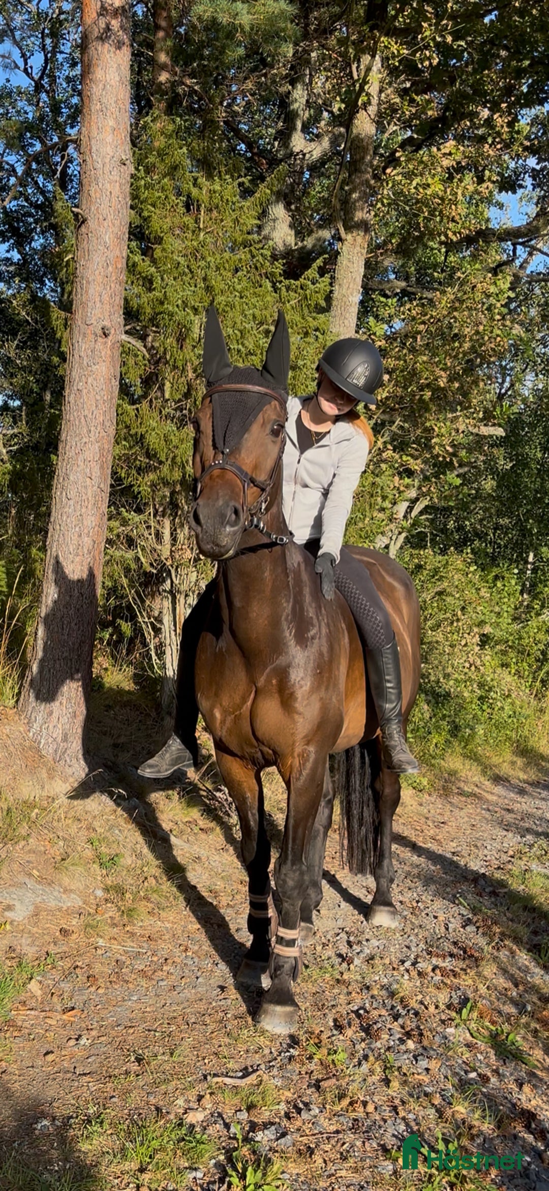 Galleribild {{count}}