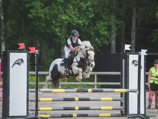 hästar Trevlig hopponny i Linghed - Annons 9