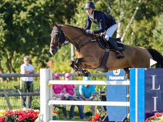 hästar Toppstammat prestationssto med tävlingsmeriter - Annons 5