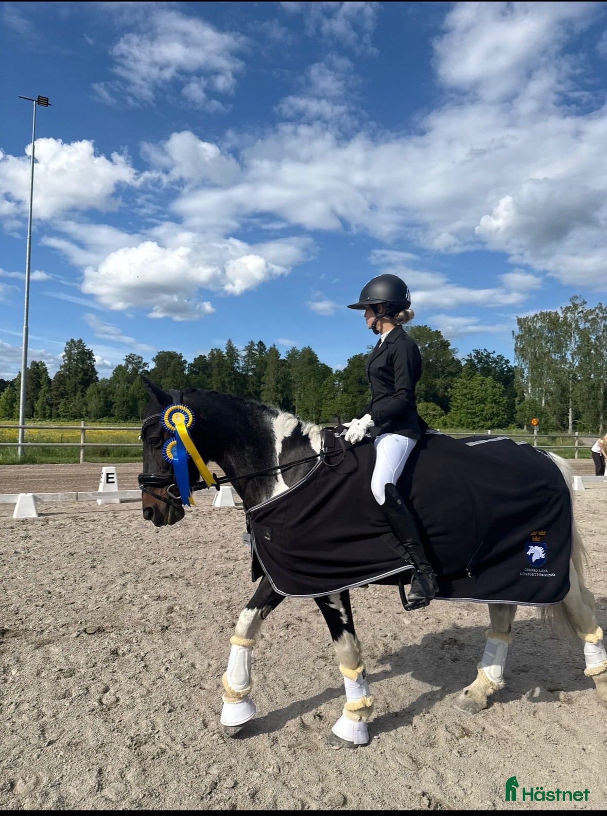  hästar SÖKES! Dressyr häst sökes ⭐️ - Annons 3