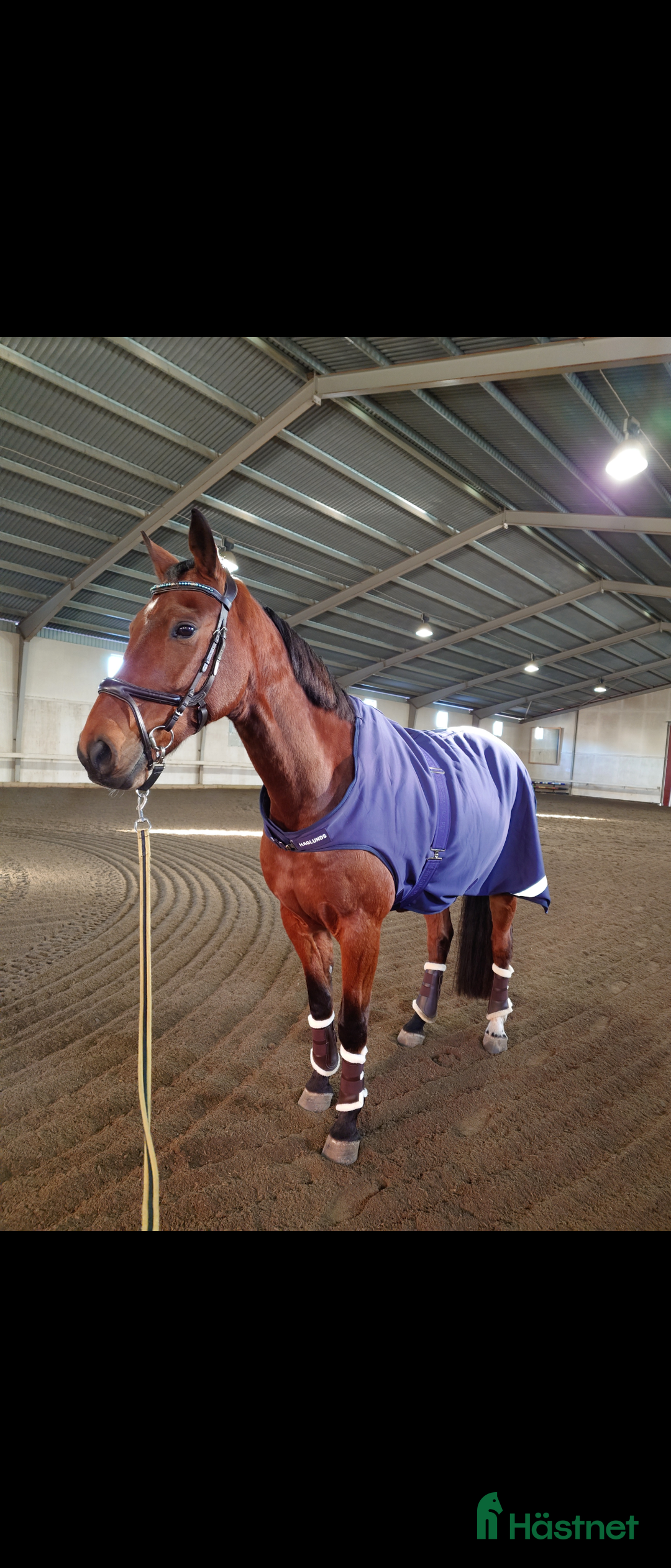 Övrig Hästutrustning hästutrustning till salu: Walker-/skrittmaskinstäcke, träningsschabrak i Västra Frölunda - Annons 1