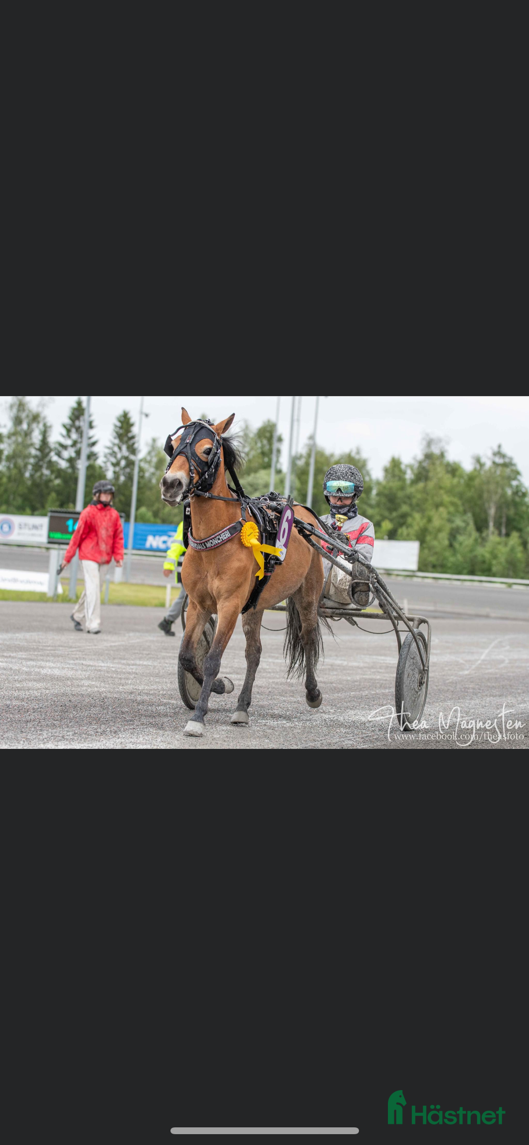Trav hästar till salu: Ponnytravare med energi i Boden - Annons 2