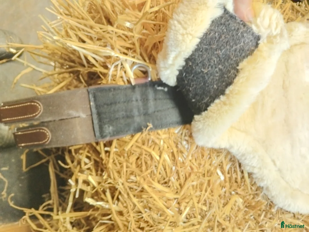 Övrig Hästutrustning hästutrustning till salu: Blandat i Löddeköpinge - Annons 16