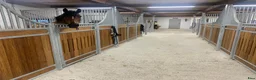  stallplats finnes: Ledig boxplats för valack i litet kvalitetsstall  - Annons 8