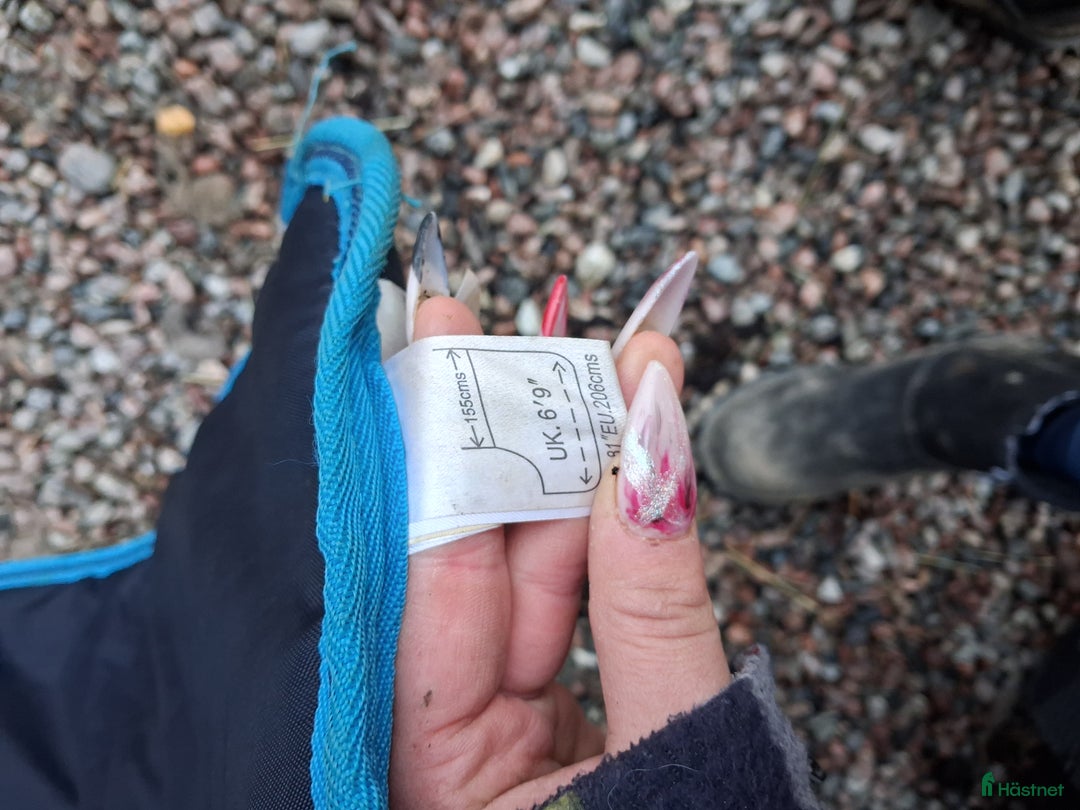 Täcken hästutrustning till salu: Amigo stalltäcke 155 i Örbyhus - Annons 2