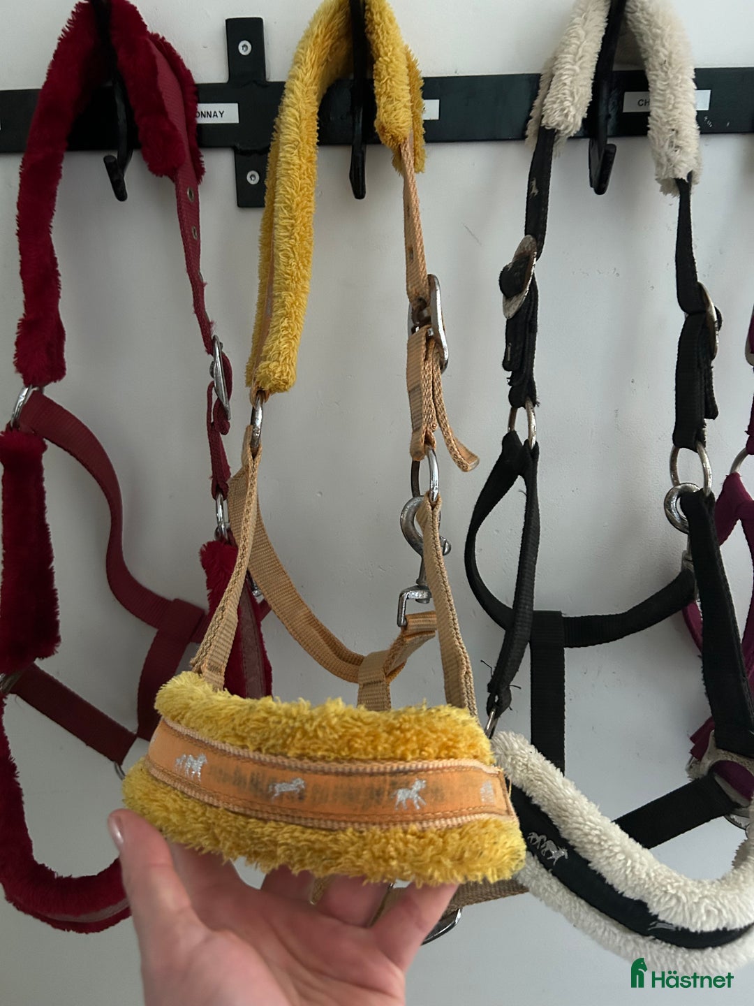 Övrig Hästutrustning hästutrustning till salu: 4 fluff grimmor stl. Cob i Vellinge - Annons 4