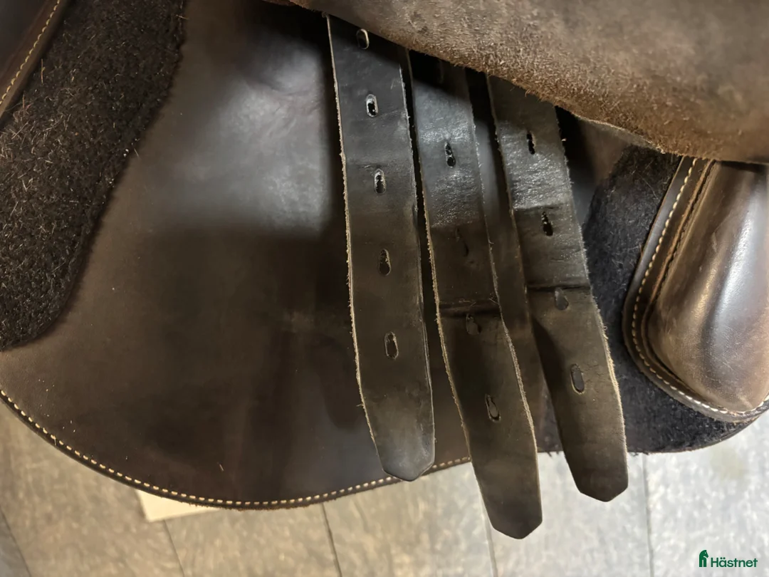 Sadlar hästutrustning till salu: Erreplus i superskick - Annons 3