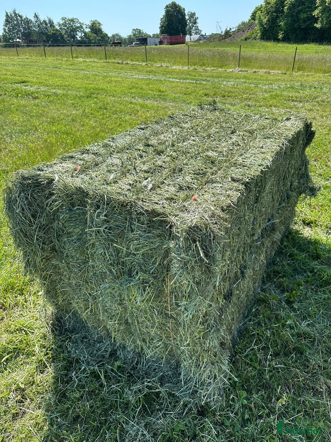  stallplats finnes: Stallplats i Färlöv - Annons 9