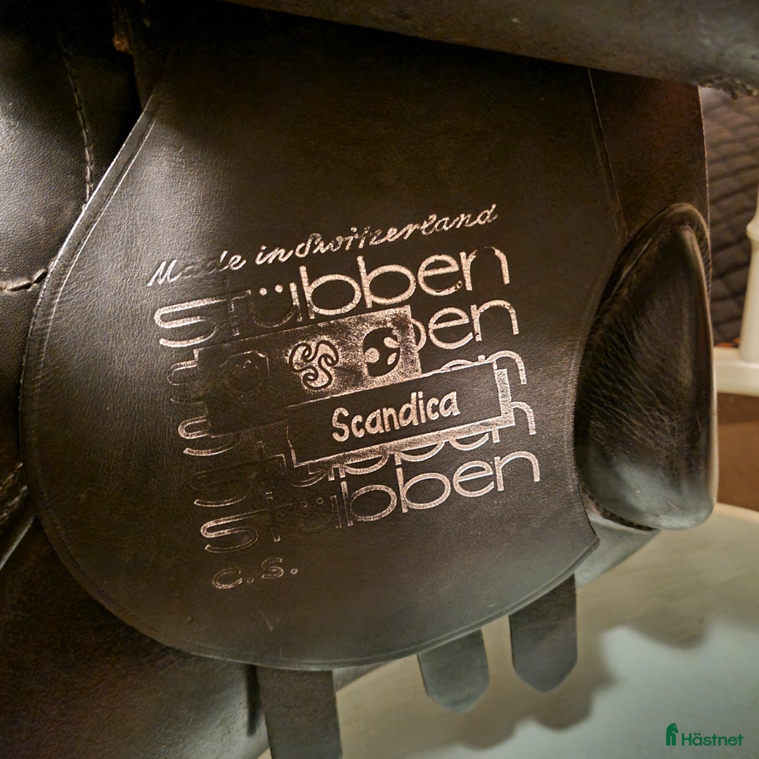 Övrig Hästutrustning hästutrustning till salu: Utrustning sadel och träns m.m. - Annons 8