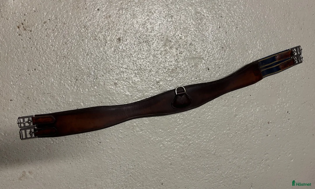 Sadeltillbehör hästutrustning till salu: Fin sadelgjord - Annons 1