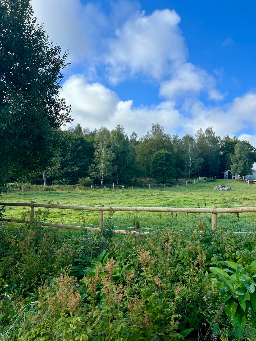  stallplats finnes: Stallplatser uthyres  i Rolfstorp - Annons 1