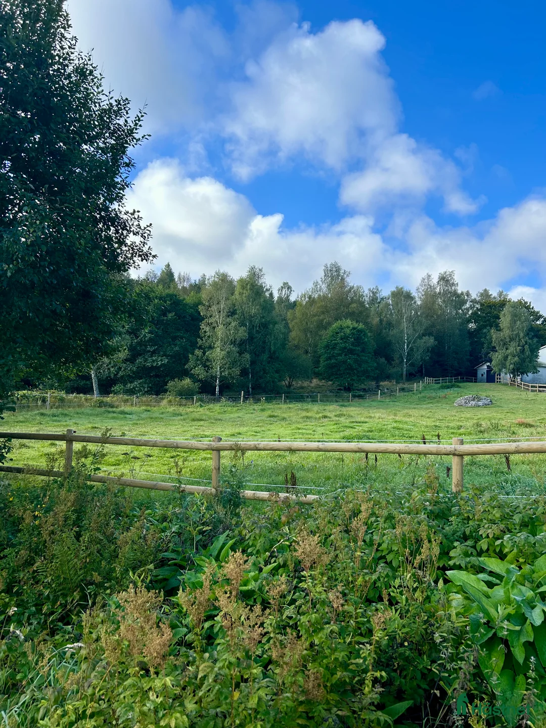  stallplats finnes: Stallplatser uthyres  i Rolfstorp - Annons 1