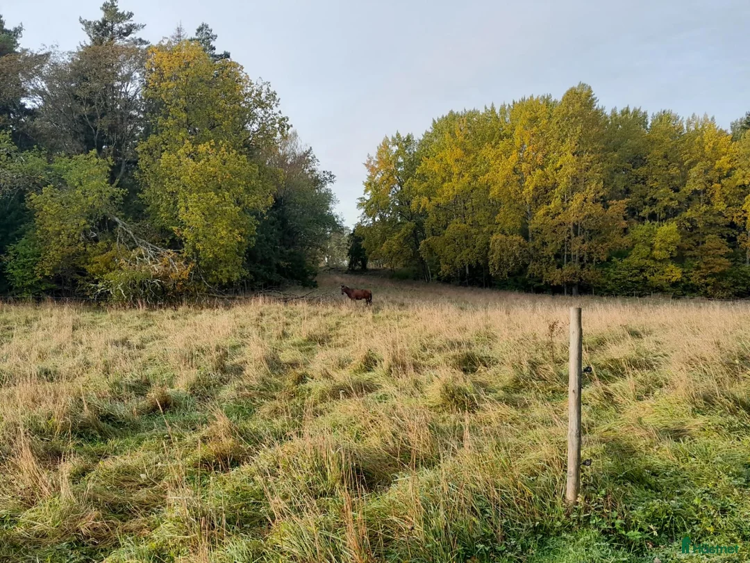  stallplats finnes: Boxplats uthyres nära Sparreholm  - Annons 1