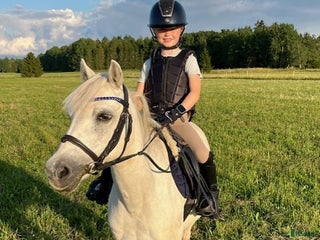 medryttarhäst finnes: Blomman söker medryttare i Kolbäck - Annons 23